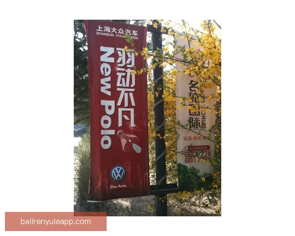 西甲实时比分更新：精彩赛事逐一呈现，掌握最新比分动态